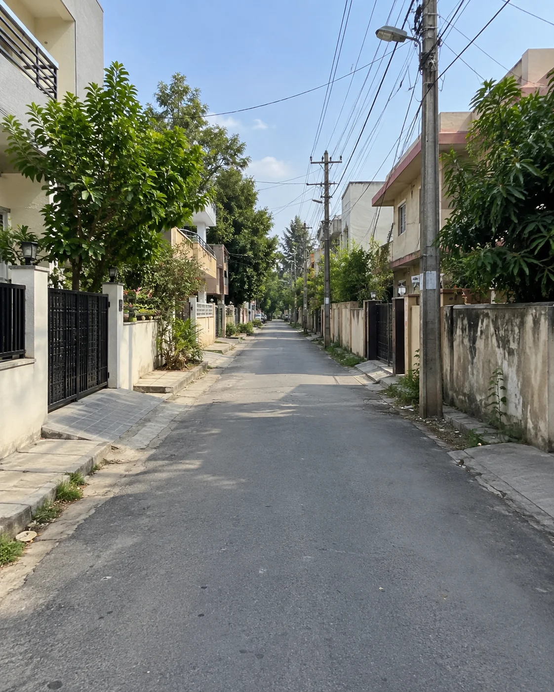 Source photo for Street Beautification